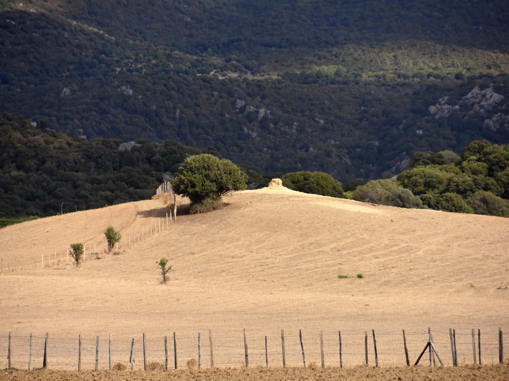 Cauria, l'arrivée près du site archéologique