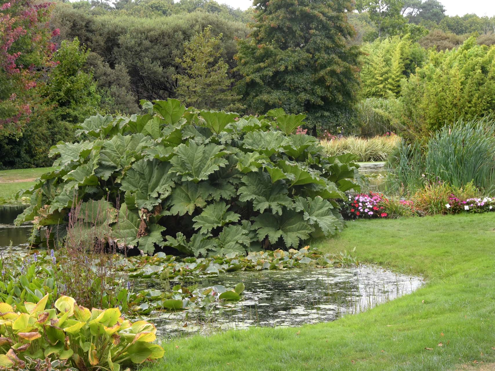 Le Parc botanique de Cornouaille