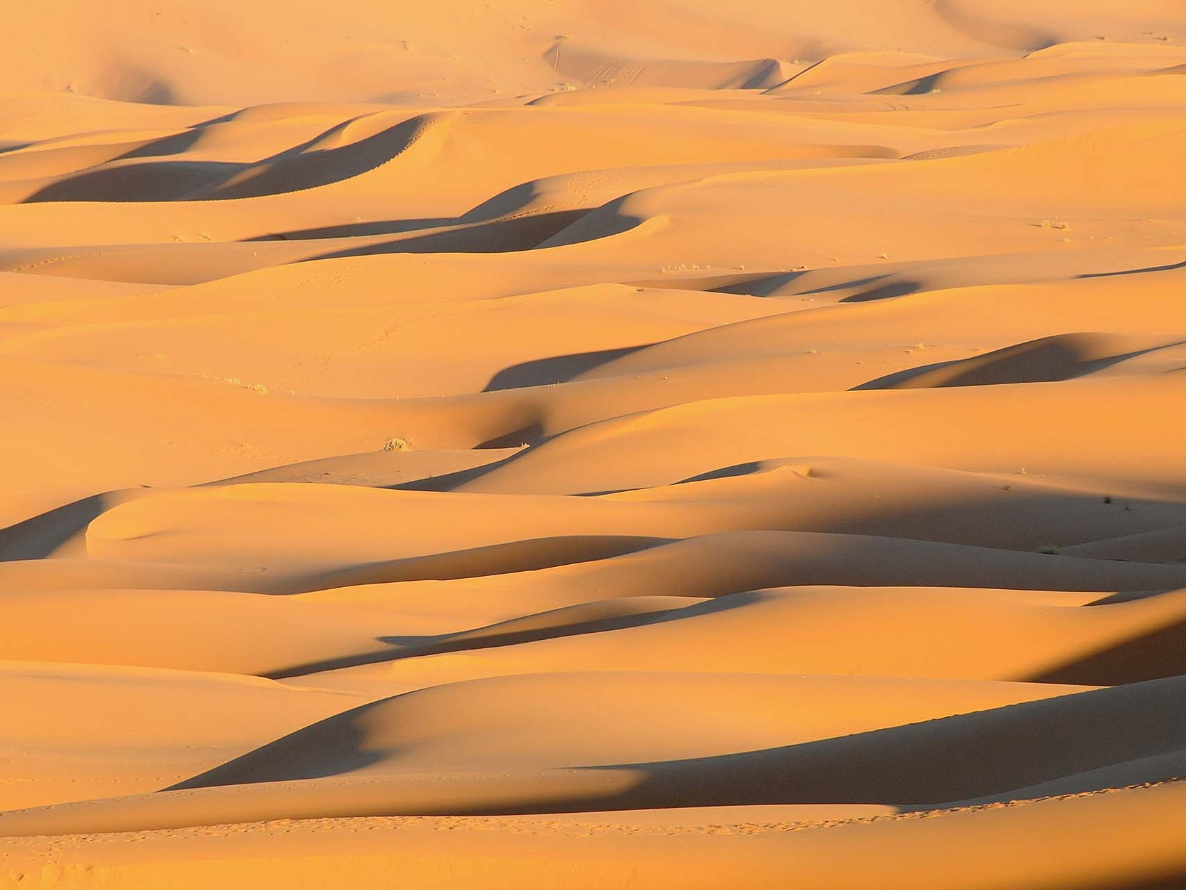 Dunes sahariennes
