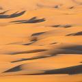 Dunes sahariennes